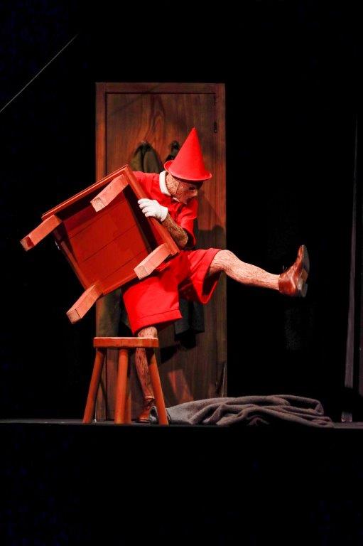 Pinocchio © Aude Vanlathem