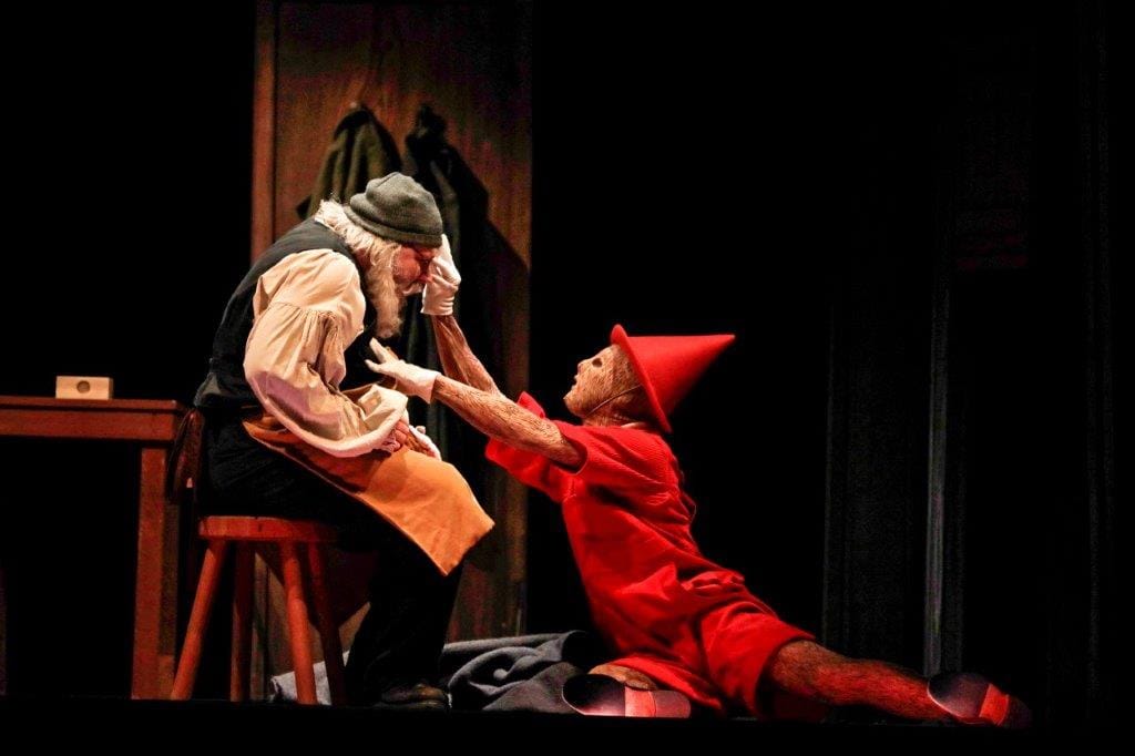 Pinocchio © Aude Vanlathem